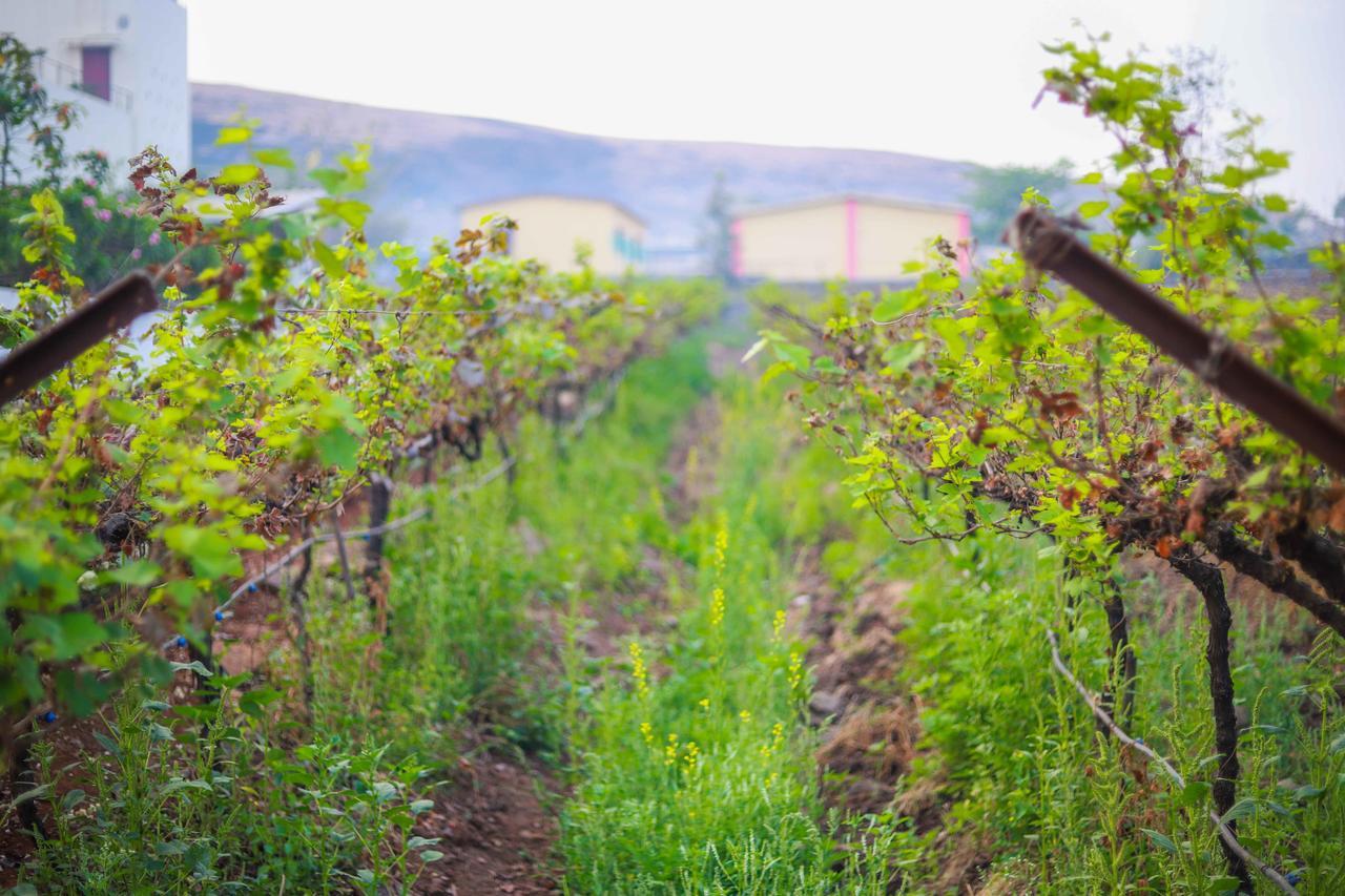 V Resorts Soma Vine Village Mahirāvani Exterior foto